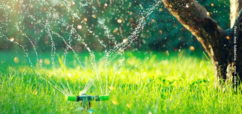 Bewässerung einer Grünfläche