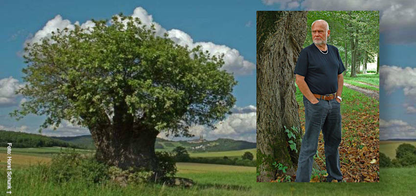 Die Fotomontage zeigt das Naturdenkmal &quot;Hüter des Feldes&quot; und Horst Schunk aus Coburg 