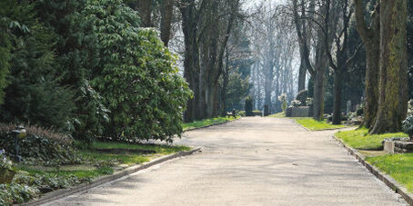Breiter Weg umsäumt von hohen Bäumen auf einem Friedhof.