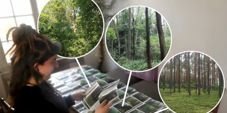 Eine Frau betrachte verschiedene Waldfotos