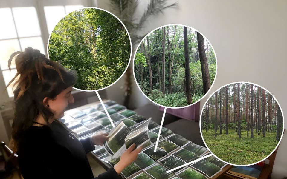 Eine Frau betrachte verschiedene Waldfotos