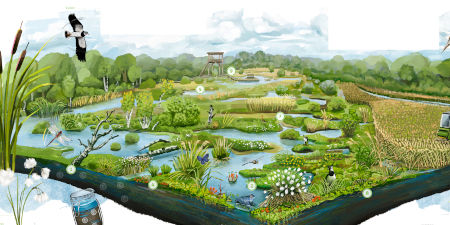 Ausdrucksstarke und lebendige Illustration der Hamburger Grafikerin Sarah Heuzeroth 