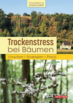 Ursachen, Strategien, Praxis